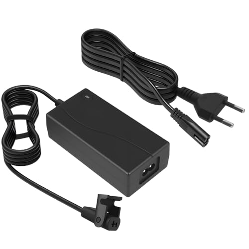 Adaptateur Secteur 29V 2A pour Fauteuil Inclinable,Universelle Alimentation Chargeur Transformateur avec Câble Compatible avec Okin Limoss Kaidi Canapé Relax Électrique ZBHWX-A290020-A