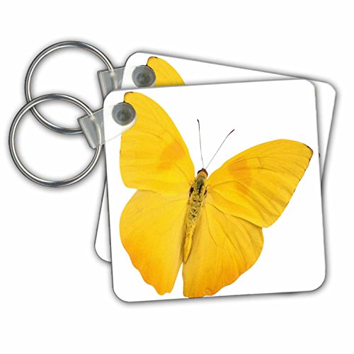 3dRose Butterfly Yellow - Key Chains, 2.25 x 4.5 inches, set of 2 (kc_33264_1)