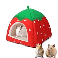 Megcdtr Meerschweinchen Haus, Kuschelhöhle Meerschweinchen mit Herausnehmbare Matte, Erdbeeren Meerschweinchen Bett, Ratten Zubehör für Zwergkaninchen Chinchilla Hamster Eichhörnchen(24 X 24cm Rot)