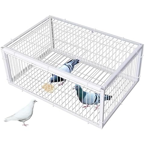 Quaocens Pigeon Traps with Four Channel One Way Entrance,Pigeon Cage with Anti-Escape Slot,Portable Easy to Assemble Outdoor Bird Cage for Rooftops Patios Gardens Balcony Farms Warehouses Cover