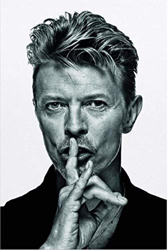 Surfilter David Bowie - Impression sur toile - Décoration murale moderne - 40 x 60 cm - Sans cadre Cover
