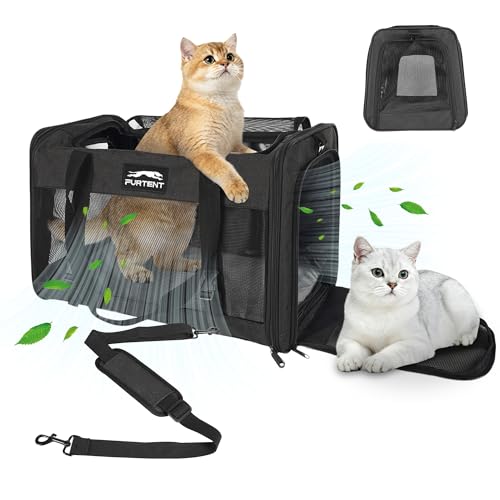 Soft-Sided Large Cat Carrier for 2 Cats, Spacious Foldable Pet Travel Carrier for Large Cats up to 25 Lbs, Double Cat Bag with Shoulder Strap, 20x13x13 Inch, Fits Maine Coon and Small Dogs, Black