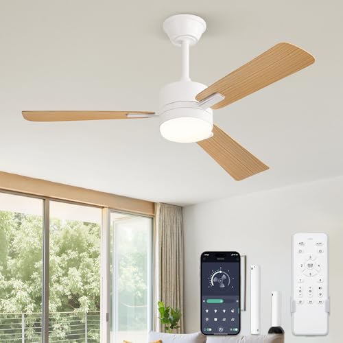 ZMISHIBO Ventilador de Techo con Luz � 106