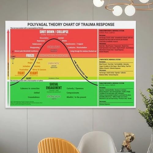 Affiche Polyvagal Chart pour surmonter l'anxiété et comprendre son système nerveux