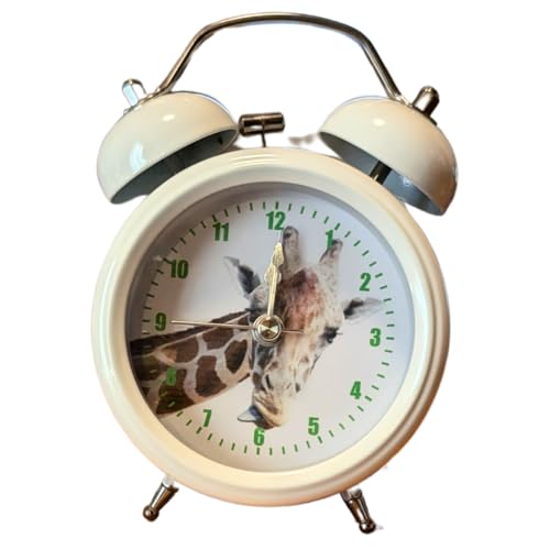 Aj}Y OVAX RpNgڊo܂v L 1