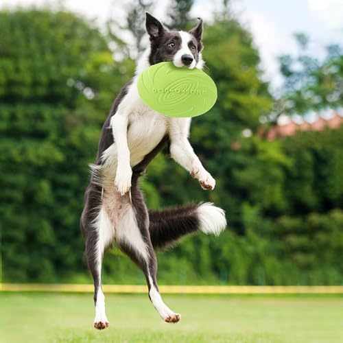 Noaxylic 2 Stück Hundefrisbees, Haustier Spielzeug Hund Fliegen Scheiben, Wiederverwendbar Soft Trainings Discs Hund, Haustier-Frisbee, Leichtes Flying Disc Dog für Dog Werfen, Spielen und Fangen