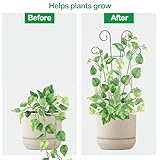 Wenrou B0D564C48Z lato 4