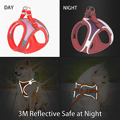 Lmobxevl Dog/Puppy Harness And Leash Set For Walking Escape Proof,Comfortable Air Mesh Dog Vest Harness With Reflective Strip,Step-In Outdoor Pet Vest For Size: Medium (Pack Of 1),Color:red/Pink #TOP3