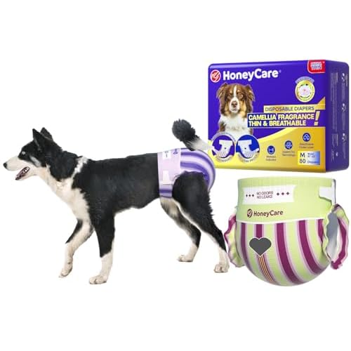 HONEY CARE Petrichor Female Dog Diaper, Camellia Fragrance, Emits Fresh Scent While Absorbing Urine, Thin & Breathable, 2 Fashion Designs in 1 Package