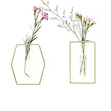 LoveCat Pack of 2 Wall-Mounted Hydroponic Planters, Hanging Flower Vases, Home Decor Geometric Terra