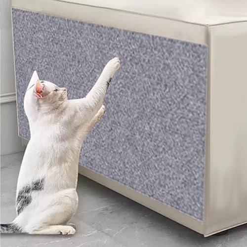 Tapis à gratter de chat pour canapé dans le salon tapis griffoir chaton