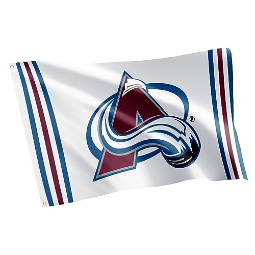 Desert Cactus Colorado Avalanche Flag NHL 100% Polyester Indoor Outdoor 3x5 feet National Hockey League Team Flags (Flag F)
