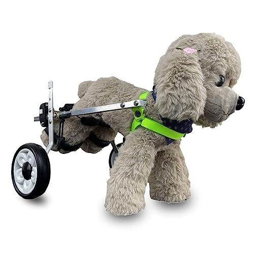 Carrito para ayuda a la movilidad de los perros en procesos de terapia