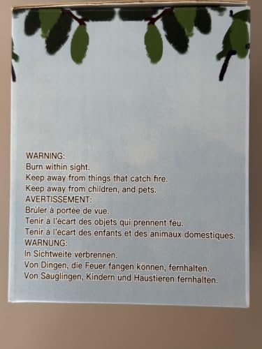TTRWIN Duftkerze im Glas, Duft Orange, 200g Kerze, Natürlichem Sojawachs – Bild 3