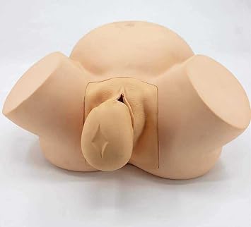 Anatomy Childbirth Simulator Manikin, Advanced Midwifery Training Model for Teaching Learning Display Tool