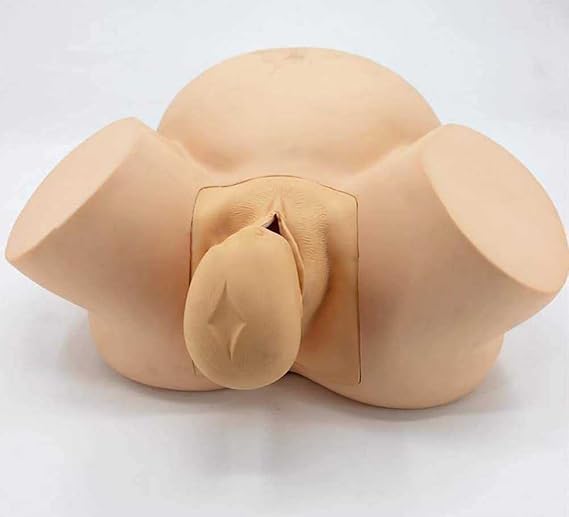 Anatomy Childbirth Simulator Manikin, Advanced Midwifery Training Model for Teaching Learning Display Tool