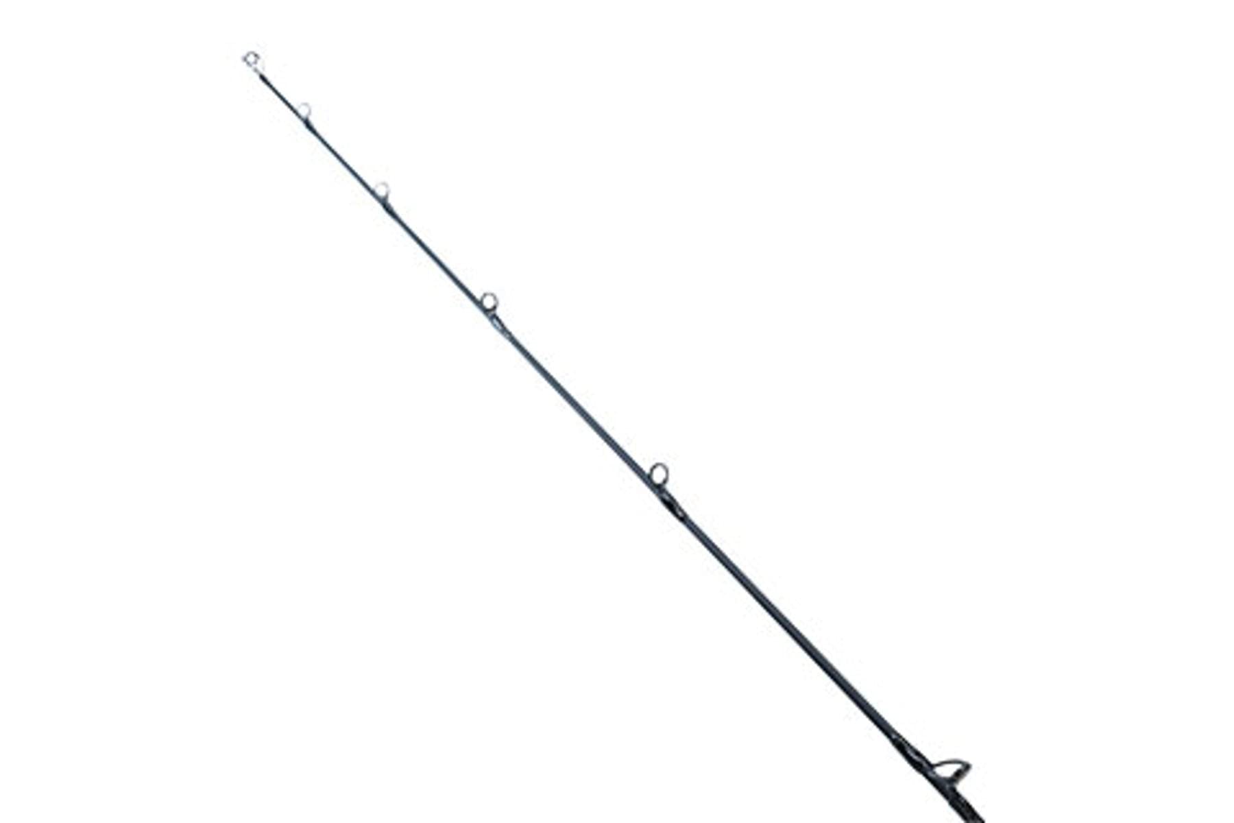Amazon.co.jp: ダイワ(DAIWA) ロッド 21 ソルティガ SJ AGS TG 55B-4