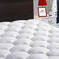 Algopix Similar Product 17 - LEISURE TOWN Queen Mattress Pad Fitted
