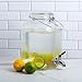 Glass Drink Dispenser for Parties, 1 Gallon Beverage Dispenser with Spigot and handle,Glass Water Dispenser, Juice Dispensers for Fridge, Lemonade & Laundry Detergent Dispenser (1Pack)
