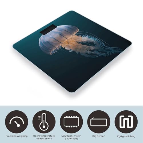 Báscula digital de baño con vidrio templado y pantalla LCD miniatura 3