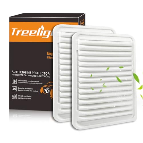 Treeligo 2 PACK CA10171 Engine Air Filter Compatible with Camry