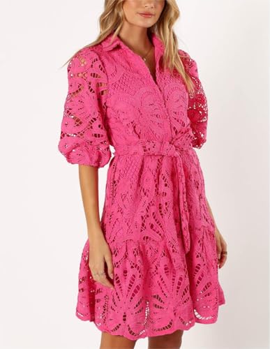 Image of Women's Summer Hollow Out Lace Mini Dress Lantern Sleeve Lapel Button Ruffle Casual Beach Party Dresses