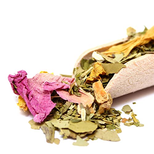 Yerba Mate Green ’Mas Iq Tropical’ Brasilianischer Mate-Tee 400g + 50 g Mas Energia Guarana | fruchtiges Mate Tee | mit Ananas