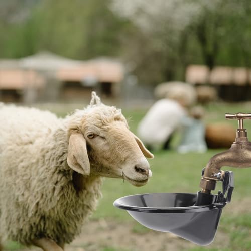 Bebedero automático Uonlytech de hierro y cobre antioxidante para ovejas y cabras 7