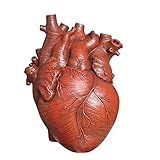 【JARRÓN ARTÍSTICO】 Florero blanco anatómico en forma de corazón, moldeado con un acabado de textura similar a la resina, solo agregue sus plantas favoritas. Agrega un toque vivo al patio, jardín, mesa en el interior, incluso a cualquier estilo de decoración.