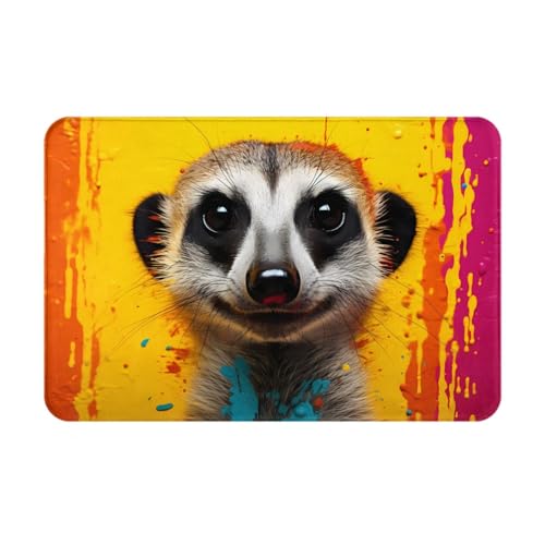 YTUOPWE Felpudo de 40,6 x 61 cm, diseño de suricata, absorbente de agua, antideslizante, para puertas delanteras, entradas y baños