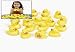 Duck Matching Game (set of 20 rubber duckies) Party Games
