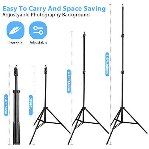 Backdrop Stand 6.5X10Ft/2X3M,Bddfoto Photo Video Party Background Stand Support System For Parties With Carring Bag #TOP1