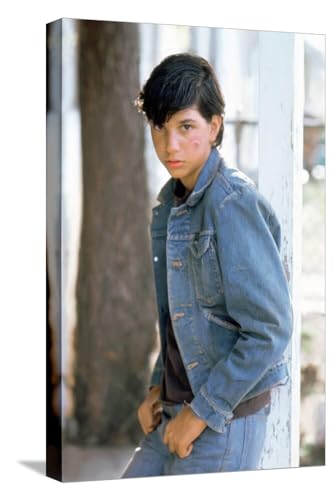 Art.com Stretched Canvas Print The Outsiders, Ralph Macchio, Directed by Francis Ford Coppola, 1982, 12" x 18"