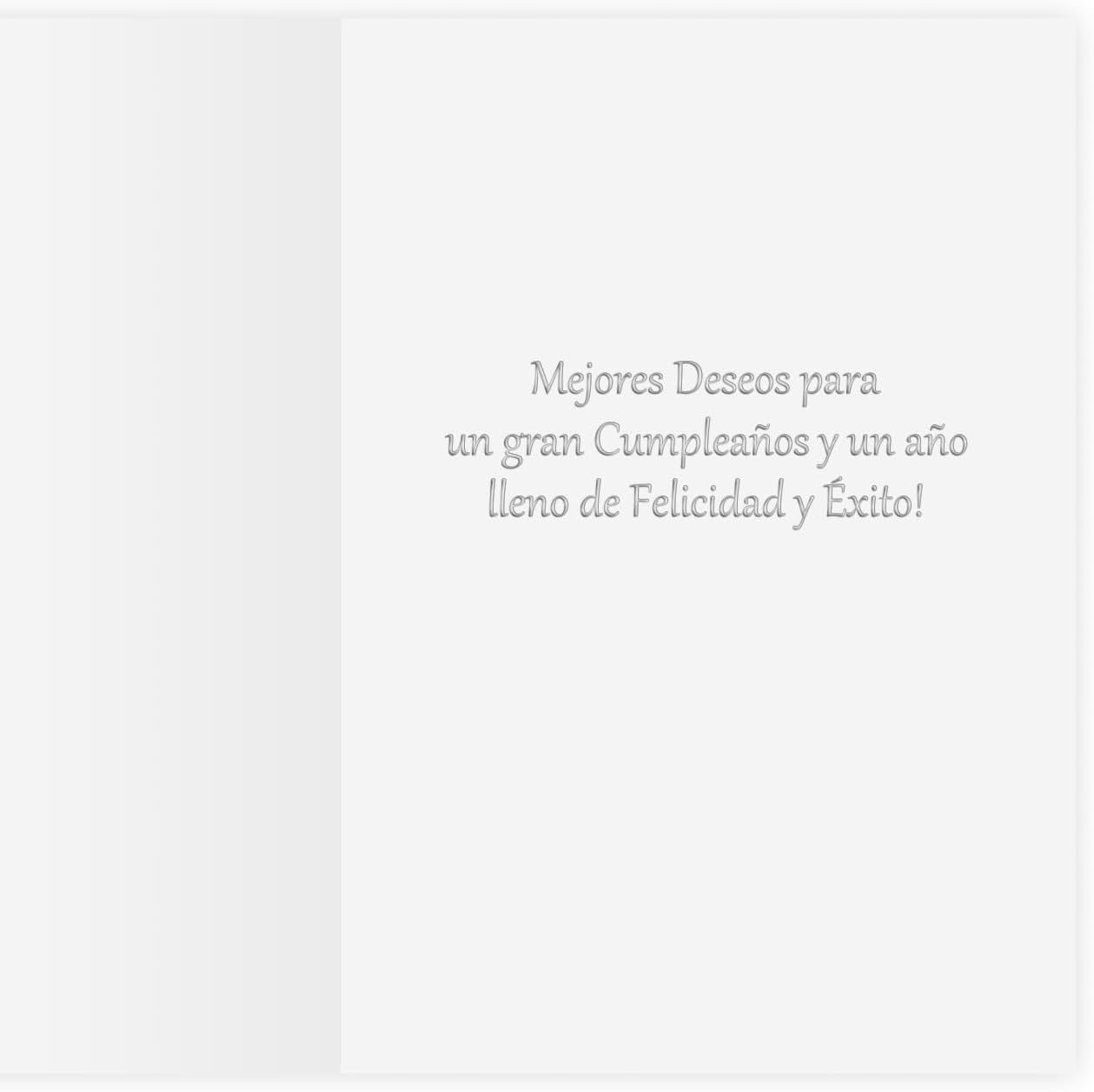 The Gallery Collection, 25 Count Card Pack, Spanish Birthday Cards with Foil Lined Envelopes (Feliz Birthday Exclamation)
