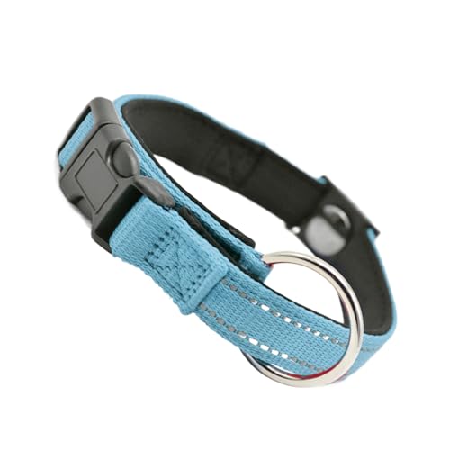 ���C���p��� - ���˒����\�ȃX�g���b�v�A�V�j�A�y�b�g�Z���s�[�}�O�l�b�g�l�b�N��ցA���s�A�x���̃g���[�j���O�A���r���O���[���̖�̎U���ɉ��K�ň��S�A�y�b�g�A�N�Z�T���[