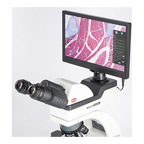 Image of Motic 1100600100831, am 1080 Full HD Microscope Camera