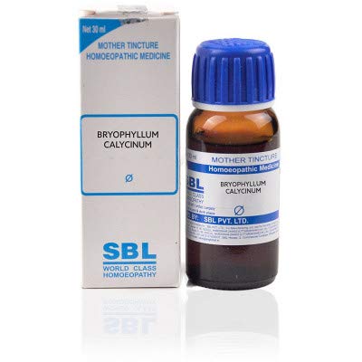 SBL Homeopathic Bryophyllum Calycinum Mother Tincture Q (30ml) - by Ayur-Homeo