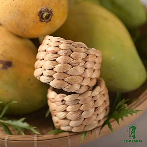 12Pcs Round Woven Napkin Ring, Water Hyacinth Napkins Rings, Rustic Napkin Rings, Handmade Braided Grass Napkin Ring, Farmhouse Napkin Rings, Spring Napkin Rings, Napkin Holder Set Of 12 #TOP7