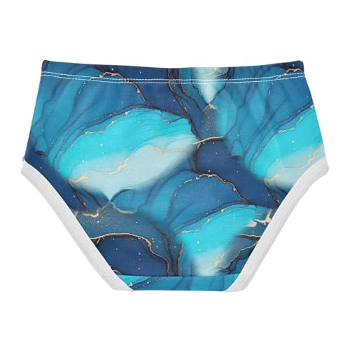 Joisal Toddler Girls Underwear 2t Cotton Girl Panties Cute Artistic Briefs Undies Kids Blue Turquoise Art Gold2