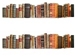 Whimsical Practicality Books Cake Border 2 Strips per Sheet 3.5x10.5 inches