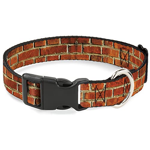 Collar para perro Buckle-Down, broche plástico, 28 a 42 cm