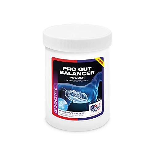 Equine America PRO Bilanciatore intestinale | Premium Pronto per l'uso del supplemento Horse & Pony | Funzione digestiva e Supporto alle Prestazioni | 900 g.