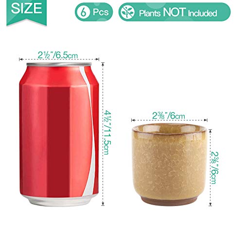 T4U 6CM Succulente Plantenpot Set van 6, Gekleurde Keramiek Vetplant Bloempot met Bamboe Onderzetter, Binnen Klein… - Image 6