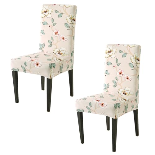 Image of HOKIPO Premium Printed Velvet Chair Cover Set of 2 for Dining Table, Buttercream Magnolia Whisper (AR-5794-D5*2)
