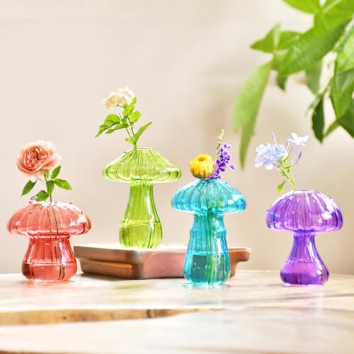 植物用キノコガラス繁殖ステーション:ホームオフィス屋内水耕栽培装飾用4色花瓶テラリウムキット-女性、お母さん、おばあちゃんへの誕生日プレゼント。（Amazon）