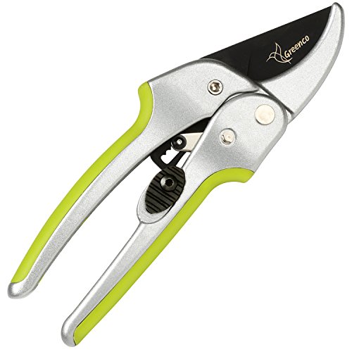 Best Garden Secateurs Reviews UK 2021 Buying Guide