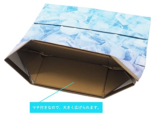 パール金属 アイスボックス 折りたたみ ICE BOX 冷た倶楽部 