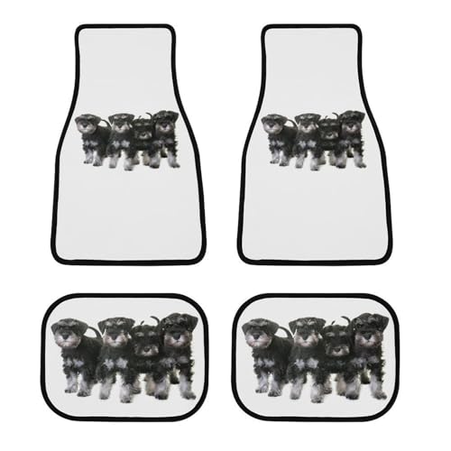 J[}bg ViEU[  tA}bg  ԗptA}bg 4_Zbg y/ʎ O2E2 h~ ~ ېOK tȒP J[pi lGʗp