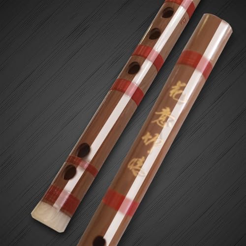 Dizi Flauta De Bambu Gravador De Seis Furos Para Iniciantes Instrumento De Flauta Profissional Autod