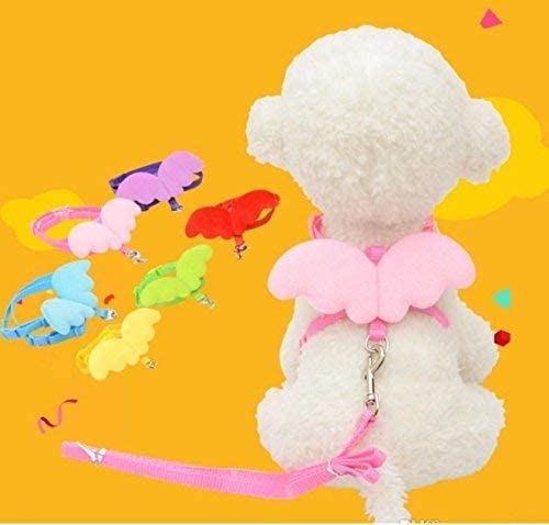 Taiyo Pluss Discovery® Pet Body Harness, Size: Medium, Pet Adjustable Butterfly Body Harness with Leash, Vest Strap with Angel Wings, Suitable for Puppy, Cats & Rabbits (Color May Vary)(Pack of 1) (B09RHB2FRT) Amazon Price History, Amazon Price Tracker